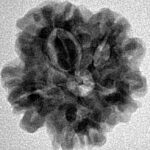 1MK(Underdeveloped) 21.6mm 3.44gm - Inverse xray