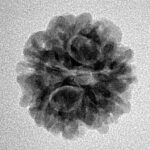 1MK(Underdeveloped) 19.6mm 2.54gm - Inverse xray