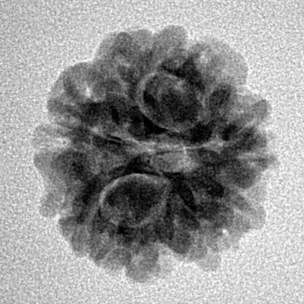 1MK(Underdeveloped) 19.6mm 2.54gm - Inverse xray