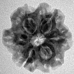 1MK(Underdeveloped) 22mm 3.2gm - Inverse xray