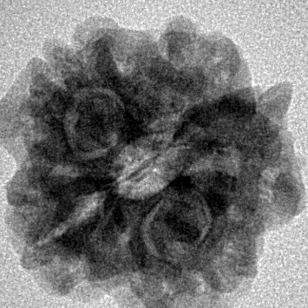 1MK(Underdeveloped) 21.8mm 3.32gm - Inverse xray