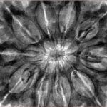 10 Mukhi Rudraksha 36mm 9.4gm - Inverse xray