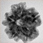 1MK(Underdeveloped) 22.4mm 3.78gm - Inverse xray