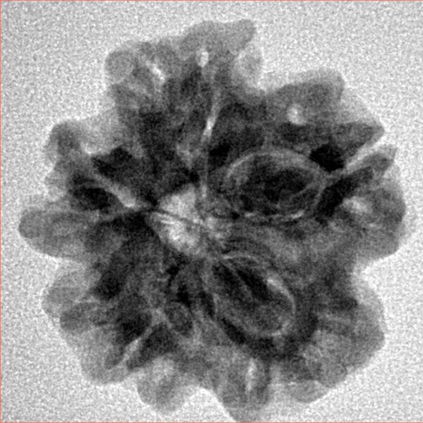 1MK(Underdeveloped) 22.4mm 3.78gm - Inverse xray