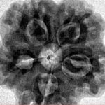 1MK(Underdeveloped) 22.8mm 4.4gm - Inverse xray