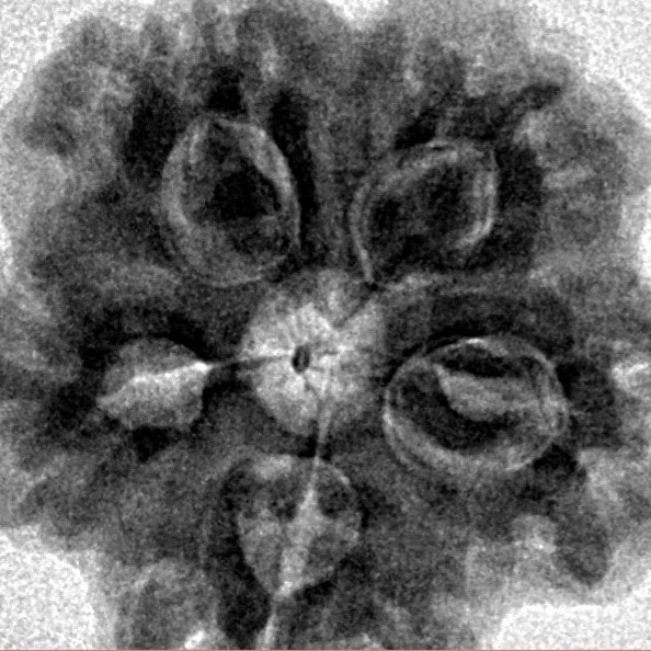 1MK(Underdeveloped) 22.8mm 4.4gm - Inverse xray