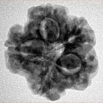 1MK(Underdeveloped) 22.1mm 3.57gm - Inverse xray