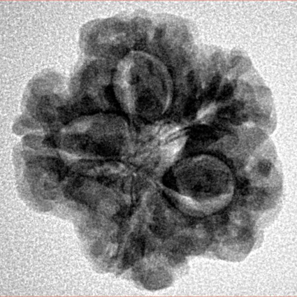 1MK(Underdeveloped) 22.1mm 3.57gm - Inverse xray