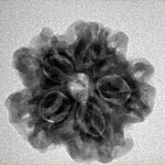 1MK(Underdeveloped) 23mm 4gm - Inverse xray