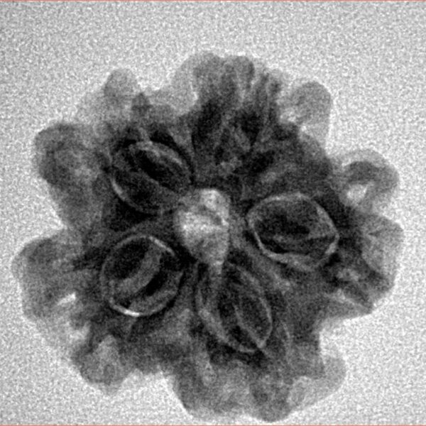 1MK(Underdeveloped) 23mm 4gm - Inverse xray