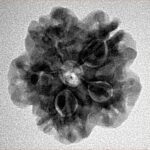 1MK(Underdeveloped) 22.1mm 3.89gm - Inverse xray