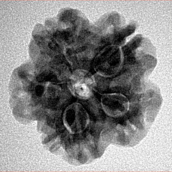 1MK(Underdeveloped) 22.1mm 3.89gm - Inverse xray