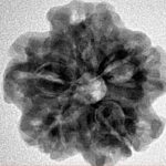 1MK(Underdeveloped) 23.3mm 4gm - Inverse xray