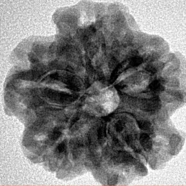 1MK(Underdeveloped) 23.3mm 4gm - Inverse xray