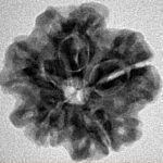 1MK(Underdeveloped) 22.6mm 4gm - Inverse xray