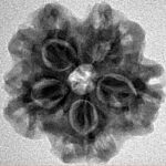 1MK(Underdeveloped) 23.3mm 3.89gm - Inverse xray