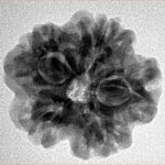 1MK(Underdeveloped) 23mm 3.85gm - Inverse xray