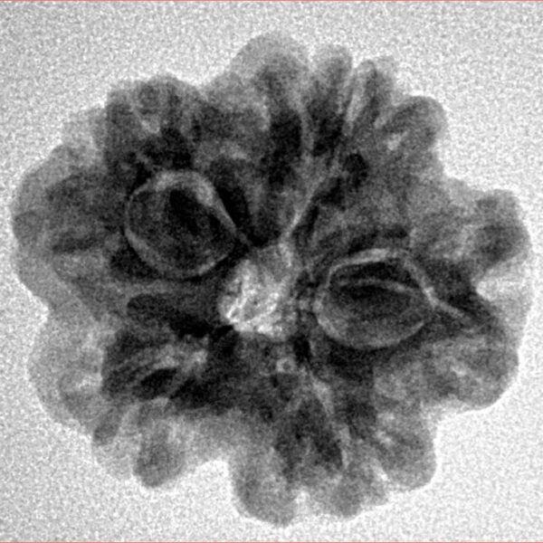 1MK(Underdeveloped) 23mm 3.85gm - Inverse xray