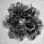 1MK(Underdeveloped) 22.2mm 3.48gm - Inverse xray