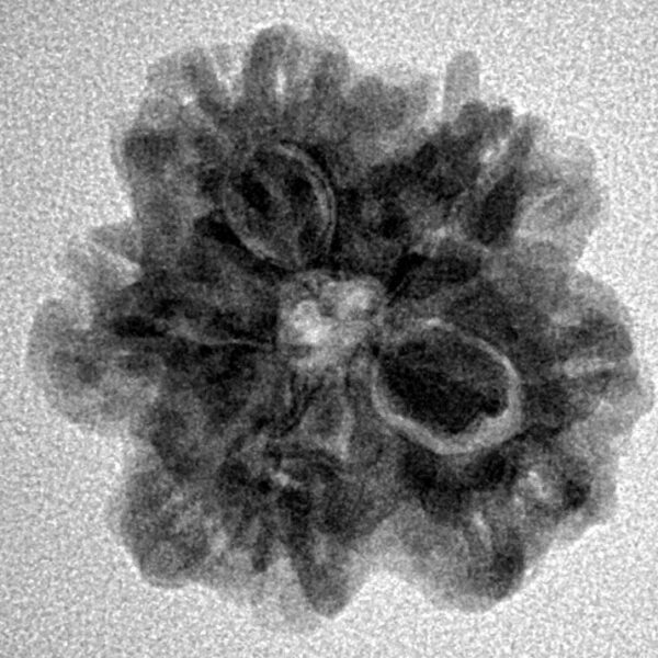 1MK(Underdeveloped) 22.2mm 3.48gm - Inverse xray