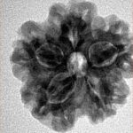 1MK(Underdeveloped) 22.8mm 4.17gm - Inverse xray