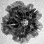 1MK(Underdeveloped) 22mm 3.75gm - Inverse xray