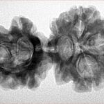 Sawar/Ganesh (3+1) 34mm 5.09gm - Inverse xray