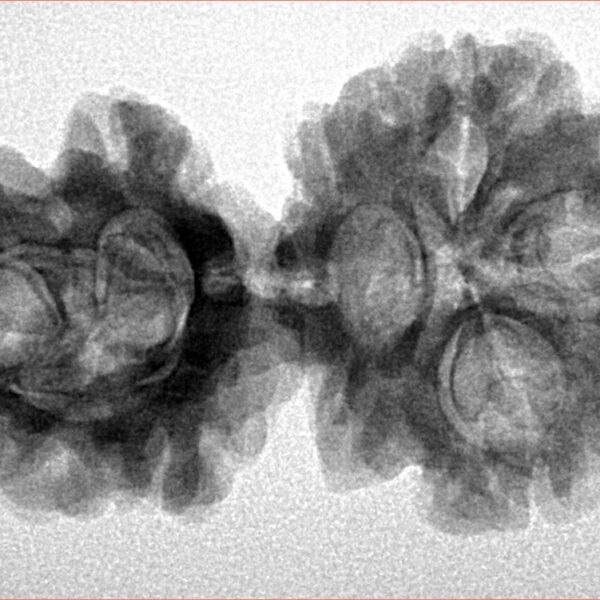 Sawar/Ganesh (3+1) 34mm 5.09gm - Inverse xray