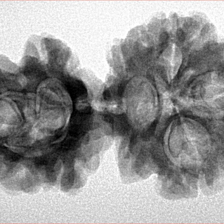 Sawar/Ganesh (3+1) 34mm 5.09gm - Inverse xray