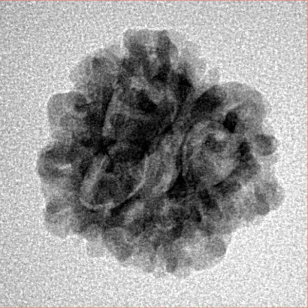 1MK(Underdeveloped) 18.5mm 2gm - Inverse xray