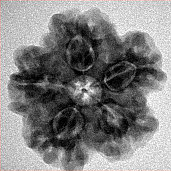 1MK(Underdeveloped) 23.9mm 4.55gm - Inverse xray