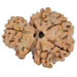 Sawar/Ganesh (6+1) 22.8mm 3gm - Rudraksha back