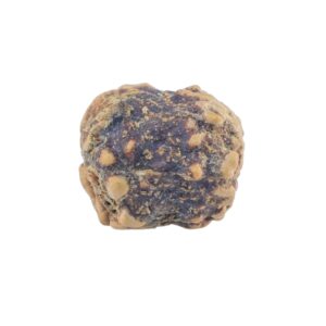 2 Mukhi Rudraksha 21.5mm 1.59gm - Rudraksha back