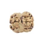 2 Mukhi Rudraksha 18.4mm 0.48gm - Rudraksha back