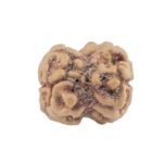 2 Mukhi Rudraksha 22.3mm 1.78gm - Rudraksha back