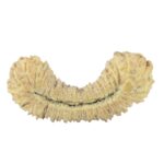 45 Mukhi Rudraksha 19.6mm 0.45gm - Rudraksha back