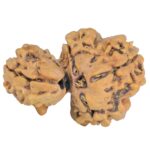 Sawar/Ganesh (3+1) 25.8mm 2.8gm - Rudraksha back