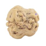 2 Mukhi Rudraksha 22.9mm 1.83gm - Rudraksha back