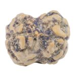 2 Mukhi Rudraksha 23.6mm 2.29gm - Rudraksha back