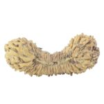45 Mukhi Rudraksha 19.6mm 0.45gm - Rudraksha