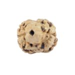2 Mukhi Rudraksha 18.4mm 0.48gm - Rudraksha