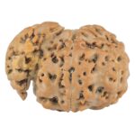 Sawar/Ganesh (6+1) 25.4mm 3.73gm - Rudraksha