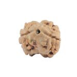 2 Mukhi Rudraksha 17.6mm 1.34gm - Rudraksha