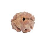 2 Mukhi Rudraksha 10.5mm 0.3gm - Rudraksha