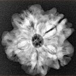 1MK(Underdeveloped) 23mm 4.07gm - Xray