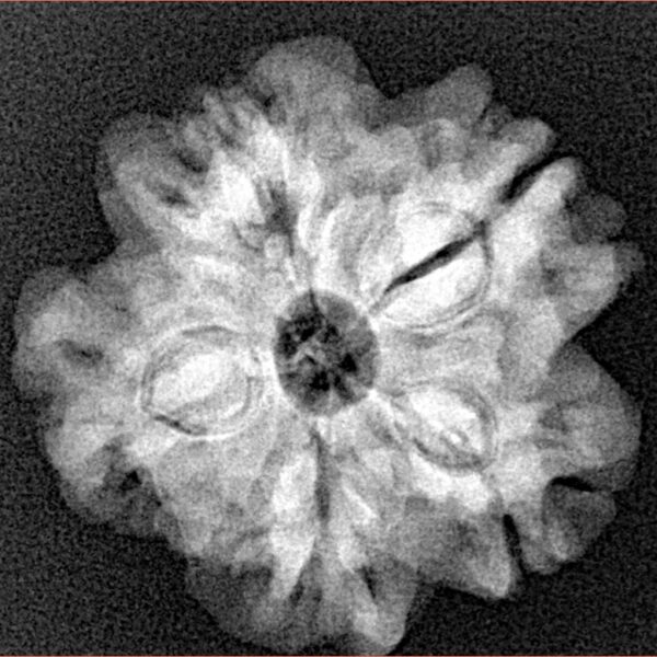 1MK(Underdeveloped) 23mm 4.07gm - Xray