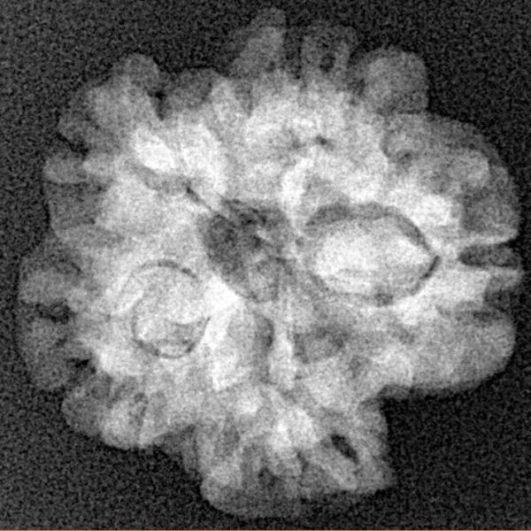 1MK(Underdeveloped) 22.1mm 3.44gm - Origin: Nepal - Xray