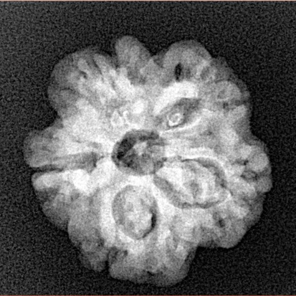 1MK(Underdeveloped) 21.2mm 3.3gm - Xray