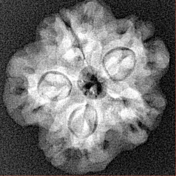 1MK(Underdeveloped) 22.5mm 3.36gm - Xray