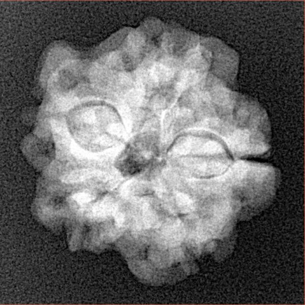 1MK(Underdeveloped) 22.1mm 3.44gm - Xray